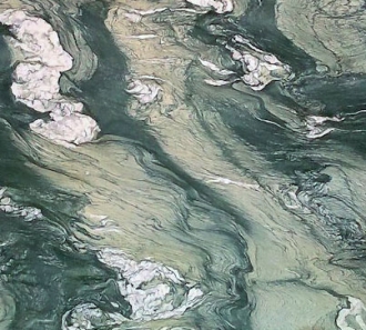 Мрамор Чиполлино Верде (Marble Cipollino Verde)