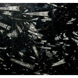 Мрамор Фоссил Браун (Marble Fossil Brown)